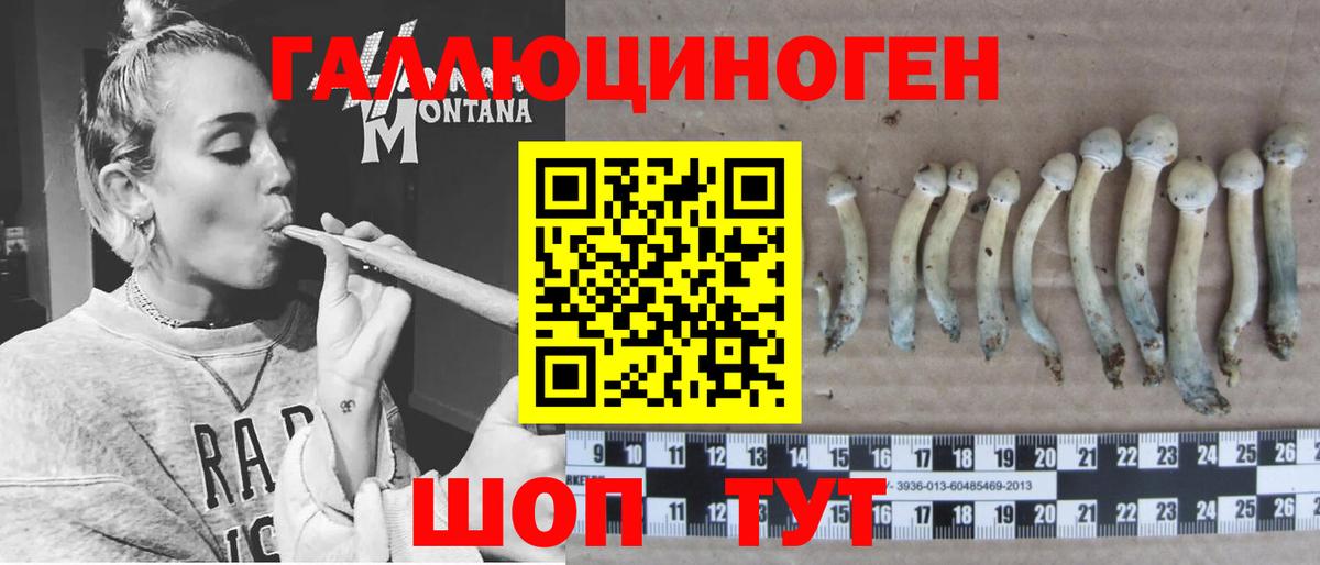 Псилоцибиновые грибы мицелий  Вход с VPN  Тольятти 